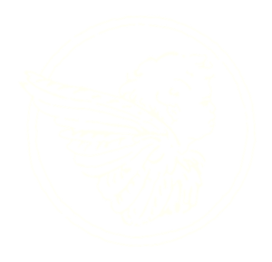 Logo de Luz de Gas