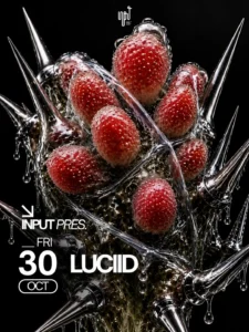 Cartel de INPUT PRES. LUCIID