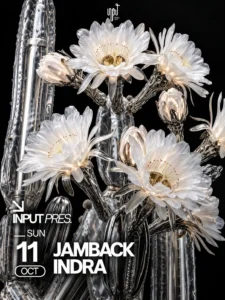 Cartel de INPUT PRES. JAMBACK & INDRA