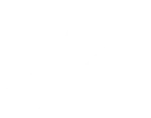 Logo de 37º