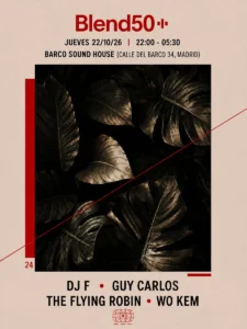 Cartel de BLEND50 – VINYL PARTY