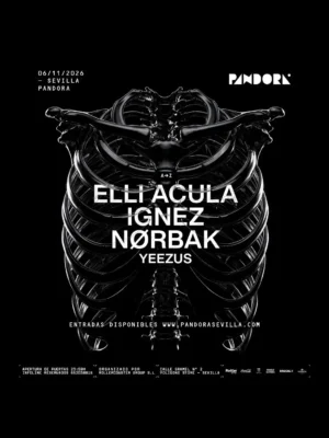 Cartel ELLI ACULA, IGNEZ Y NØRBAK / 6 de noviembre / Pandora, Sevilla