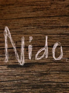 Cartel de NIDO