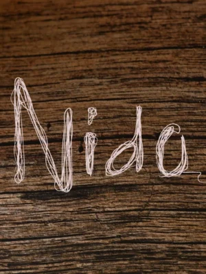 Cartel NIDO / 22 de noviembre / Akasha Las Dalias Club, Ibiza