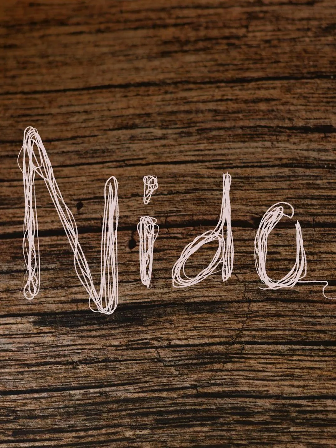 Cartel NIDO / 22 de noviembre / Akasha Las Dalias Club, Ibiza