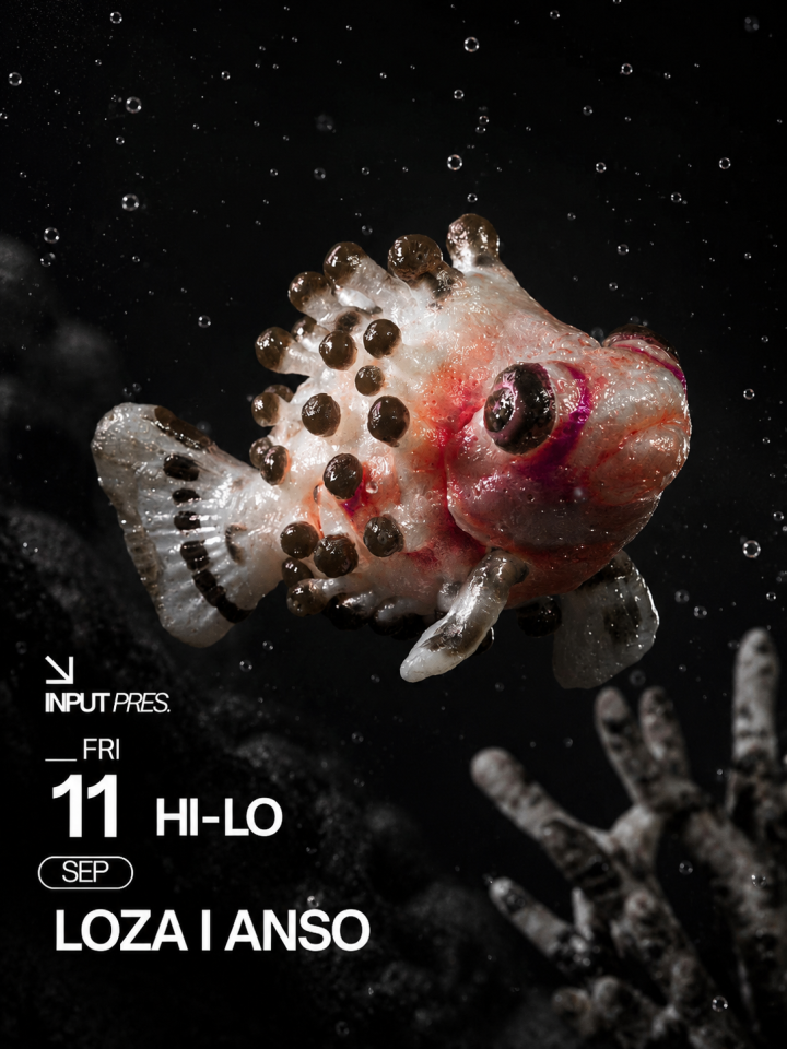 Flyer de estilo minimalista y artístico, con predominio de tonos negro, gris, blanco y matices rosados. La imagen principal muestra un pez de aspecto exótico flotando sobre un fondo submarino desenfocado, aportando una estética surrealista y orgánica. La tipografía blanca, moderna y de alto contraste destaca la fecha 11 de septiembre (viernes), la identidad Input Pres. y el line up formado por HI-LO, Loza y Anso. El diseño transmite una atmósfera elegante, contemporánea e inmersiva, alineada con la identidad visual de los eventos de música electrónica y techno celebrados en Input High Fidelity Dance Club.